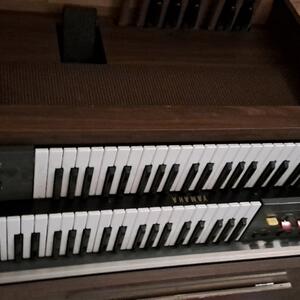 Orgel
