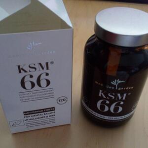KSM 66 - Ashwagandha