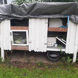 Stor begagnad delvis inte helt färdig kaninbur med fyra boxar bo