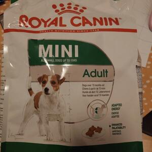 hundmat Royal canin Mini