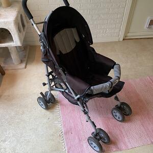Sulky / Stroller