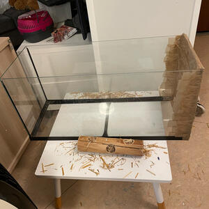 Terrarium smådjur