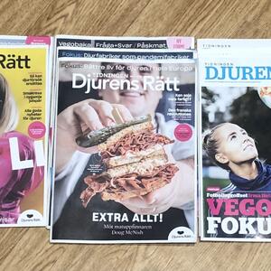 14st Djurens Rätt tidningar (2018-2022)