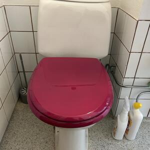 Toalettstol Gustavsberg - äldre modell