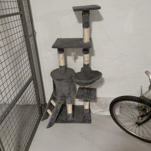 Kattklösträd