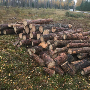 Ved bortskänktes 