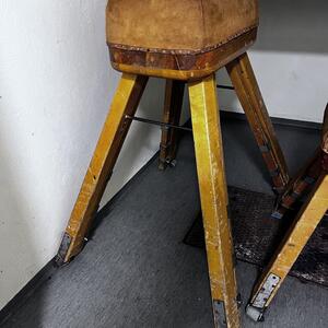 Stor bock (skolidrott) bortskänkes