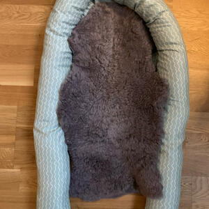 Babynest 