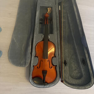 Violin skänkas 