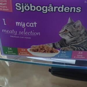 Katt mat 