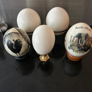Strutsägg