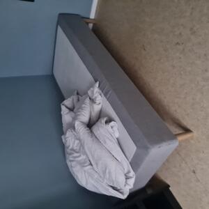 Bortskänkes