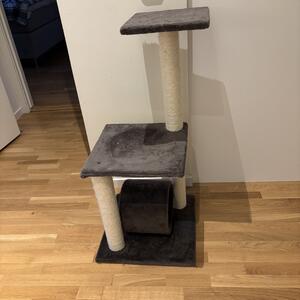 Klätterträd till kattunge