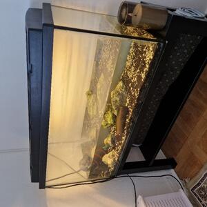 Akvarium bortskänkes 