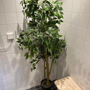 Plastblomma