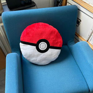 Pokemon kudde